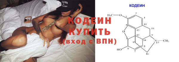 индика Бородино