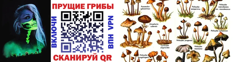 Галлюциногенные грибы Cubensis  Ивантеевка 